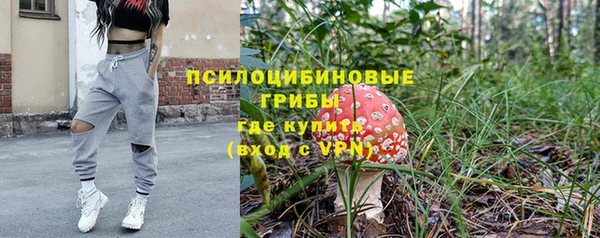 прущая мука Арсеньев