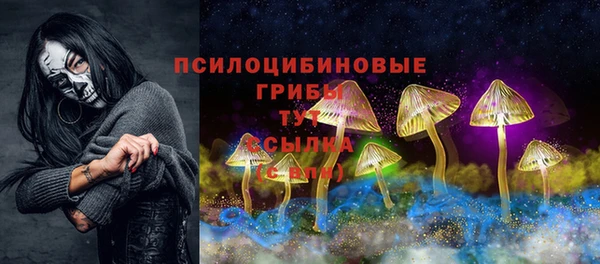 прущая мука Арсеньев